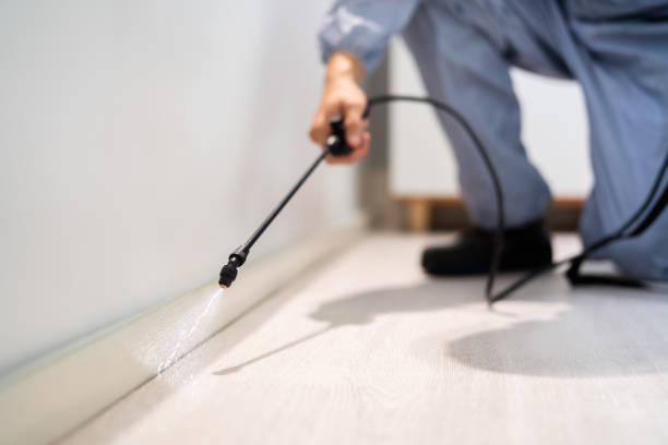 Bed Bug Pre-Treatment Preparation Assessment in Romancoke
