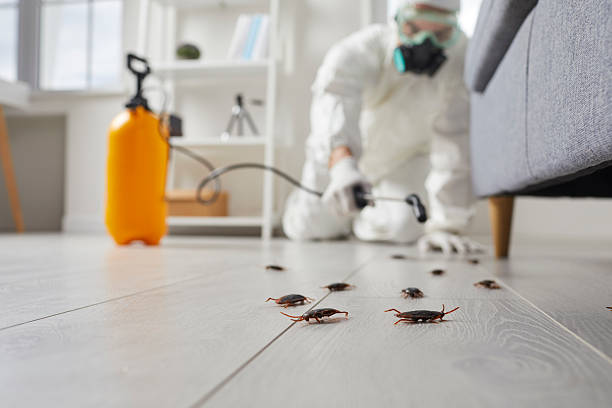 Post-Treatment Bed Bug Interceptor Monitoring in Romancoke