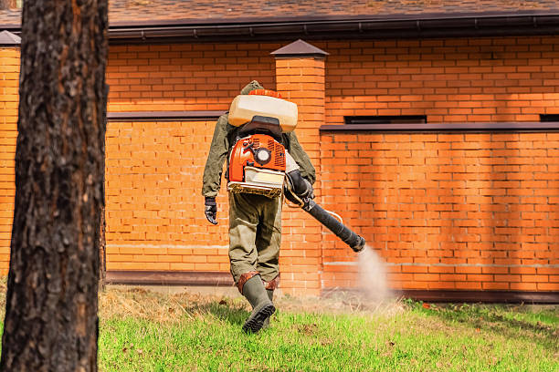 Bed Bug Clearance Verification and Documentation in Romancoke